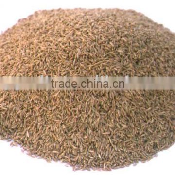 India Cumin Seed