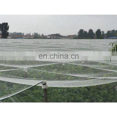 Factory Wholesale Selling Best Quality Anti Insect Mesh Net for Greenhouse Apple Tree Vegetables