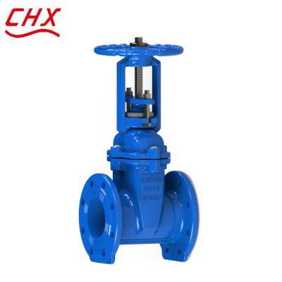 DIN Gate Valve PN10 PN16 4 Inch Rising Stem Flange Ends Resilient Seat Rubber Seat With Worm Wheel Gate Valve photo-6