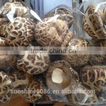 High Quality Dried Shiitake Flower Mushroom photo-4