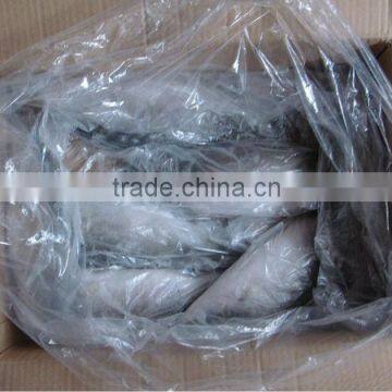 frozen tilapia fish WR .WGS .WGGS