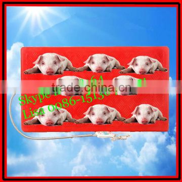 Piglet heating plate 550*1000mm