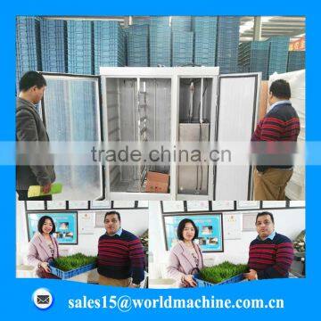 WHIR Export to Saudi Arabia Low Cost Greenhouse for Growing Fodder Barley Grass photo-4