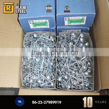 China Zinc Nails/large Head Nail With Washer/Galvanized Umbrella Head Roofing Nails photo-6