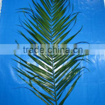 Exquisite hot selling flower cut foliages