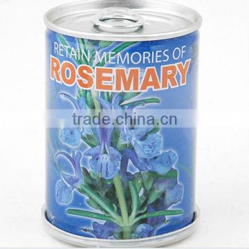 Rosemary in cans, Tin plants