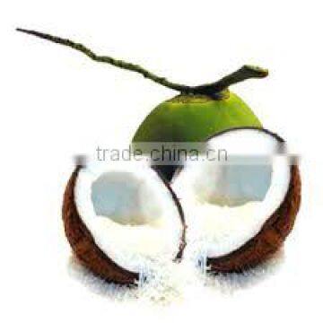 Vietnam High Quality High Fat Desiccated Coconut (whatsapp: +84936172627) photo-6