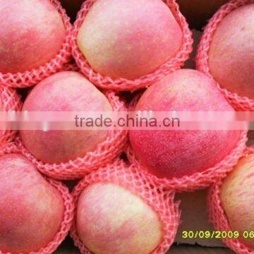 Supply fresh Qin guan apple with good quality for sale