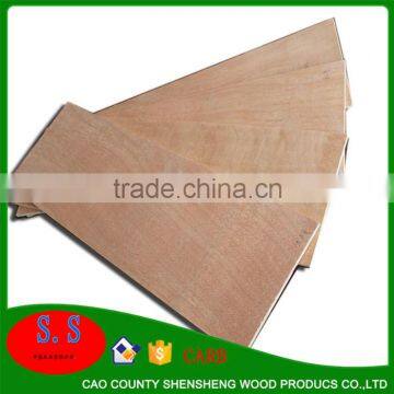 poplar Core Film Faced Plywood to Vietnam