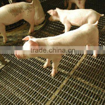 Pig farming Crimped Wire Mesh, flat top Crimped wire mesh with ISO certificate