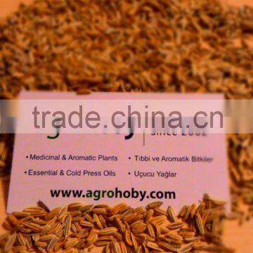 Fennel seed factory