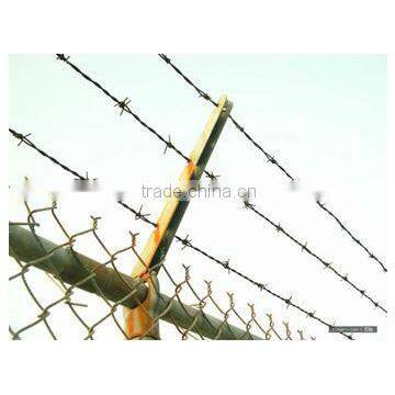 razor blade/wire fencing/barbed wire