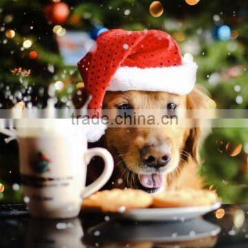 poster of Christmas dog