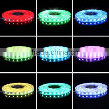 IP68 waterproof rgb DMX512 computer controlled led strip lighting