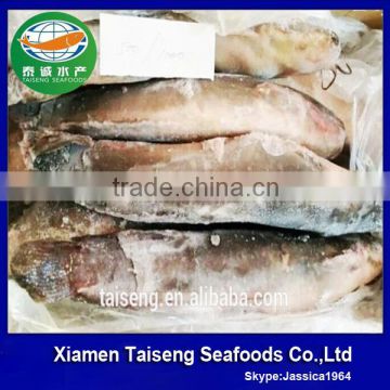 Good Quality Frozen Catfish From Chinese Factory