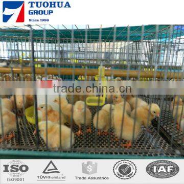 96 birds poultry layer cage for sale