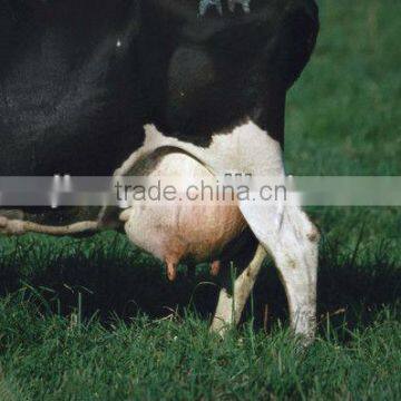 gasoline engine and motor milk sucking machine for sale