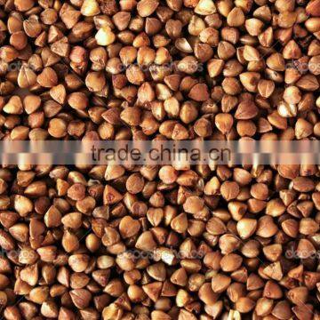 BUCKWHEAT KERNELS FOR SALE