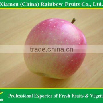 Chinese Red Apple