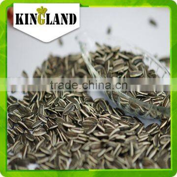 Lowest price sunflower seeds for little bag packing