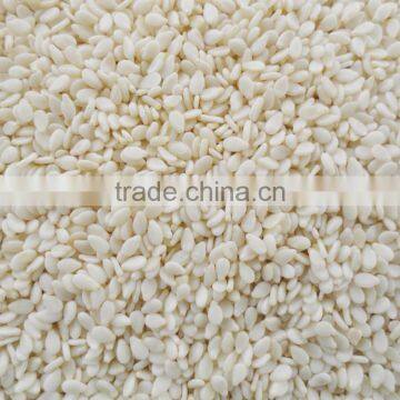 Indian Sesame Seeds Exporters