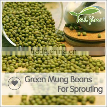 2015 Inner Mongolia origin green mung bean price