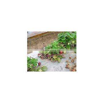 PP Non woven Fabric For Agriculture