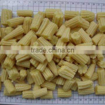Fresh Baby Corn Cut From Vietnam photo-3