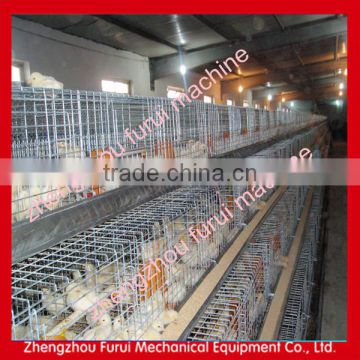 Best quality quail cage/quail cage design/manufacturing cage for quail