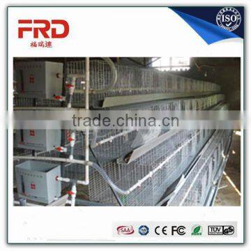 FRD South africa best sale chicken cage/ chicken egg layer cages for sale/Model Poultry Cage