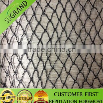 Agriculture Plastic Bird Net Orchard Bird Netting