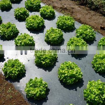 Agricultural Plastic Black Builders Mulch Film