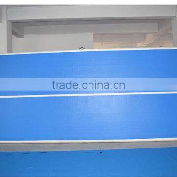 High Quality Inflatable Air Tumble Track Inflatable Air Track for Sale photo-6