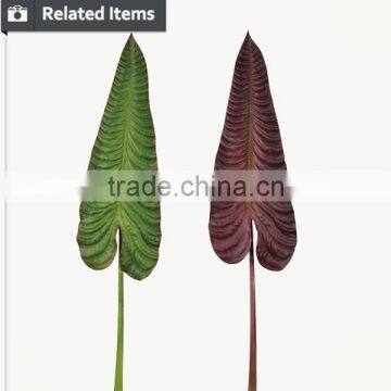 Decorative Artificial Plants Brazil Leaves for Sale Artificial Leaves photo-6