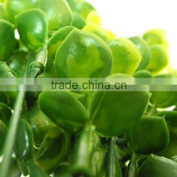 China Best Sell Wholesale Artificial Plant for Indoor Decoration photo-4
