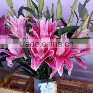 Artificial Easter Double Llily Flower photo-4