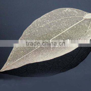 Zm33721a New Model Fancy Ladies Leaf Design Drop Earrings for Party Girls photo-3