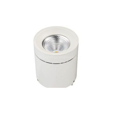 30W COB Surface Mounted Downlight