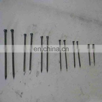 Wholesale Factory Price Galvanized Steel Common Polished Wire Iron Nail