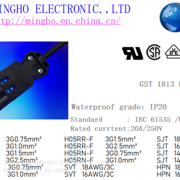 GST 18i3 Plug< Wieland>