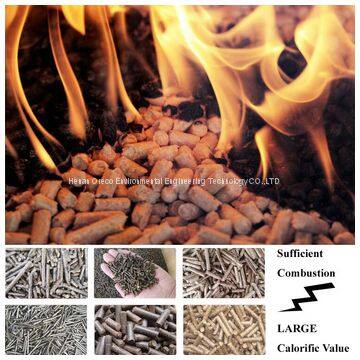 Wood Biomass Agricultural Straw Pellet Mill photo-5