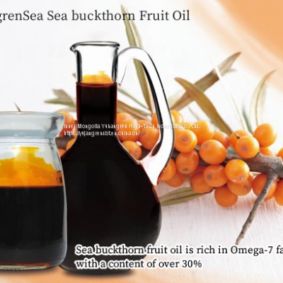 Sea Buckthorn Puree photo-2