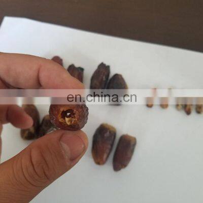 Automatic Dates Pitter Machine/Date Pitting Processing Machine/Date Seed Removing Machine photo-2