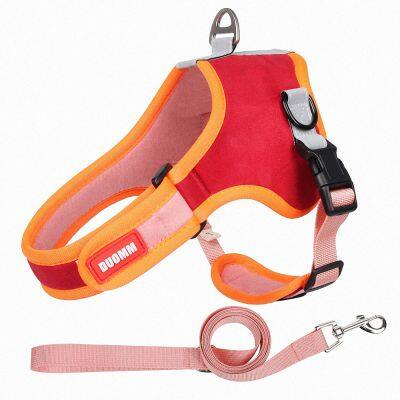 Pet Harness Small Dog With Leash Set photo-5
