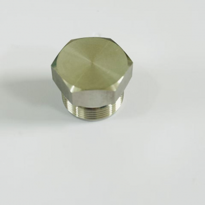 304 Stainless Steel Tube Fitting Cap for Hydraulic Systems
