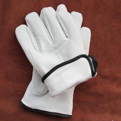 Work & Labor Protection Gloves