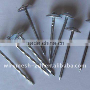 umbrella head roofing nails