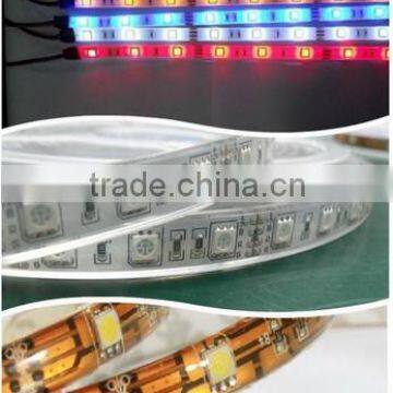 Hot Selling 240leds/meter 12V Double Row 3014 Smd Led Strip photo-2