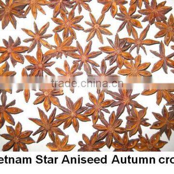 Star Aniseed