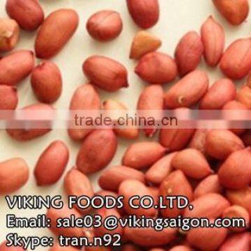 VIETNAM PEANUTS KERNELS/GROUNDNUTS GOOD QUALITY - BEST PRICE